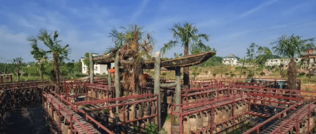 凤娃古寨(湖北省武汉市旅游景点)