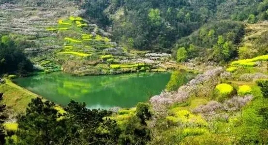 沼山森林公园(湖北省鄂州市旅游景点)