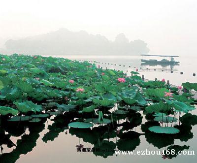 红莲湖（鄂州市华容区旅游）