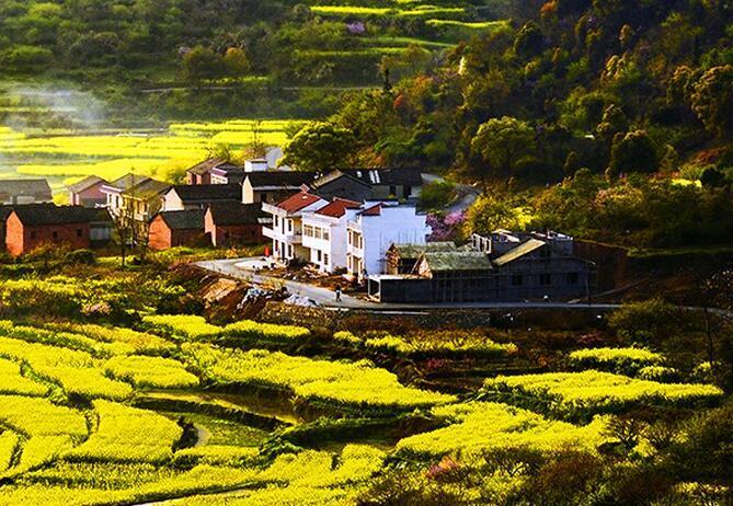 沼山森林公园
